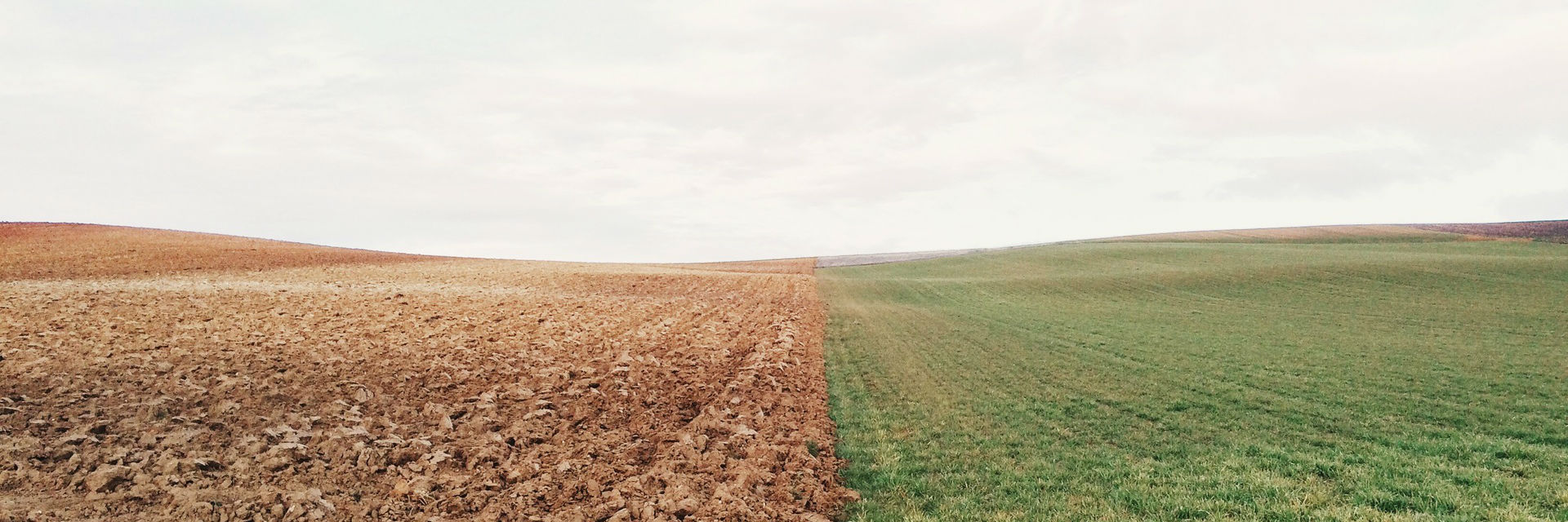 Project header photo