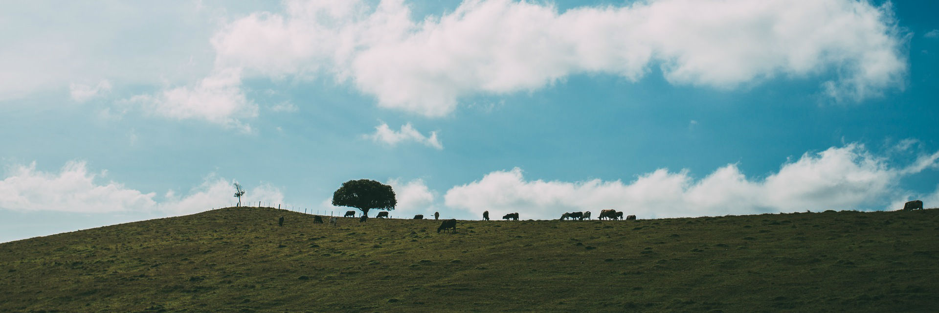 Project header photo